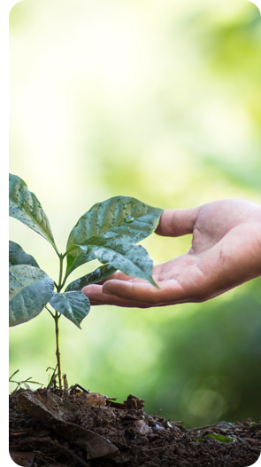Our Environmental Policy
